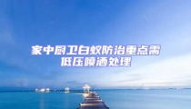 家中廚衛白蟻防治重點需低壓噴灑處理