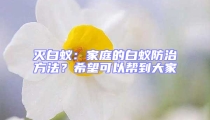 滅白蟻:家庭的白蟻防治方法?希望可以幫到大家