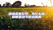 深圳殺蟲公司：為什么說蟑螂是當今防治難度
