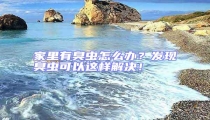 家里有臭蟲怎么辦?發現臭蟲可以這樣解決!