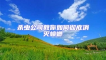 殺蟲公司教你如何徹底消滅蟑螂