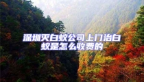 深圳滅白蟻公司上門治白蟻是怎么收費的