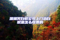 深圳滅白蟻公司上門治白蟻是怎么收費的