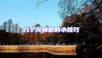 八個滅蟑螂的小技巧