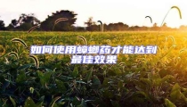 如何使用蟑螂藥才能達到最佳效果