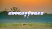 蟑螂都能攜帶有哪些病菌?[