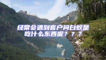 經常會遇到客戶問白蟻是吃什么東西呢???