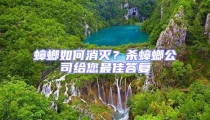 蟑螂如何消滅?殺蟑螂公司給您最佳答復