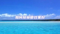如何除蟑螂效果好
