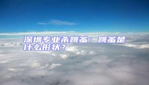 深圳專業殺跳蚤:跳蚤是什么形狀?