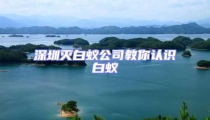 深圳滅白蟻公司教你認識白蟻