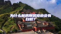 為什么新房剛裝修也會有白蟻?
