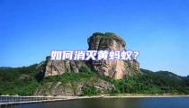 如何消滅黃螞蟻?