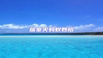 居室滅螞蟻妙招