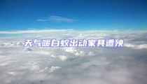 天氣暖白蟻出動家具遭殃
