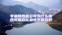 專業除四害公司為什么慢性滅鼠藥比急性滅鼠藥好