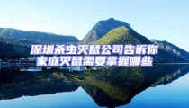 深圳殺蟲(chóng)滅鼠公司告訴你家庭滅鼠需要掌握哪些