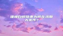 堤壩白蟻隱患為何在汛期大發作?
