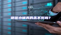 德國小蠊真的殺不死嗎?