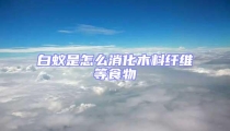 白蟻是怎么消化木料纖維等食物