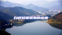 白蟻對建筑物的危害