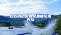 白蟻的危害以及最佳防治方法