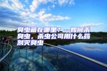 臭蟲藏在哪里？--如何殺臭蟲，殺蟲公司用什么藥劑滅臭蟲