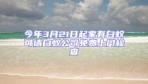 今年3月21日起家有白蟻可請白蟻公司免費上門檢查