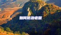 如何防治老鼠