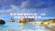 殺蒼蠅的最好方法,1分鐘解決蒼蠅的生命