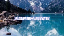 滅鼠時如何選擇誘餌