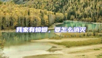 我家有蟑螂,要怎么消滅