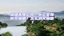 深圳殺蟲公司:辦公室如何滅蟑螂?怎么消滅蟑螂?