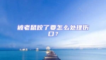 被老鼠咬了要怎么處理傷口?
