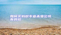 如何滅螞蟻專業殺蟲公司有妙招
