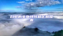 白蟻的生物特性和區別損害