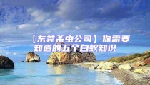 【東莞殺蟲公司】你需要知道的五個白蟻知識