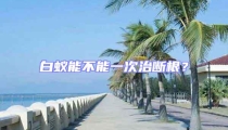 白蟻能不能一次治斷根?