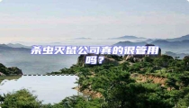 殺蟲滅鼠公司真的很管用嗎?