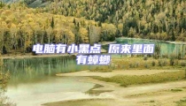電腦有小黑點(diǎn) 原來(lái)里面有蟑螂