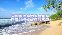 滅蟑螂除蟑螂專業指導:如何分辨蟑螂藥的不同?