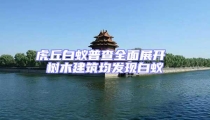 虎丘白蟻普查全面展開 樹木建筑均發現白蟻