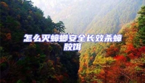 怎么滅蟑螂安全長效殺蟑膠餌