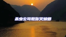 殺蟲公司教你滅蟑螂