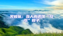 滅蚊隊(duì):當(dāng)人肉誘餌“勾引”蚊子