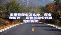 家里有臭蟲怎么辦,臭蟲如何滅---深圳殺臭蟲公司為你解憂