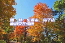 醋、蒜、生姜末、桔子皮能消滅蒼蠅哦