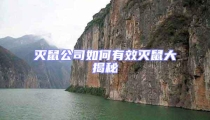 滅鼠公司如何有效滅鼠大揭秘