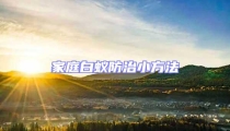 家庭白蟻防治小方法