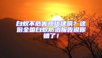 白蟻不危害現代建筑?這份全國白蟻防治報告說你錯了!